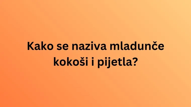 Nemojte razočarati na ovom kvizu o nazivima mladunaca životinja jer su pitanja stvarno laka