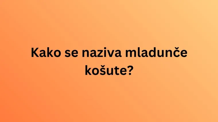 Nemojte razočarati na ovom kvizu o nazivima mladunaca životinja jer su pitanja stvarno laka