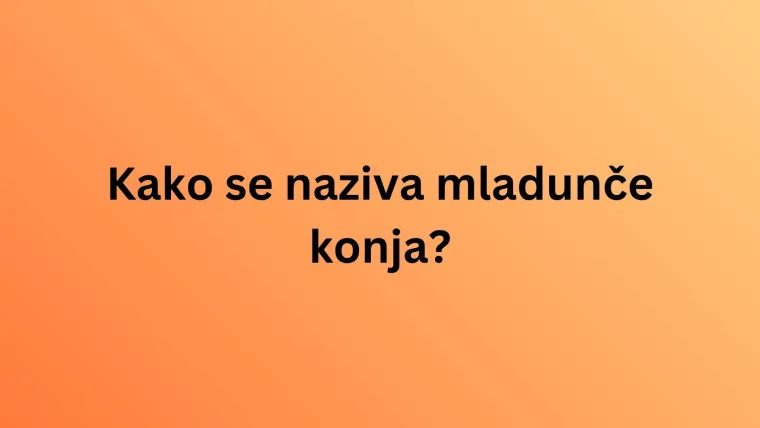 Nemojte razočarati na ovom kvizu o nazivima mladunaca životinja jer su pitanja stvarno laka