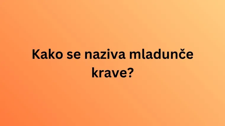 Nemojte razočarati na ovom kvizu o nazivima mladunaca životinja jer su pitanja stvarno laka