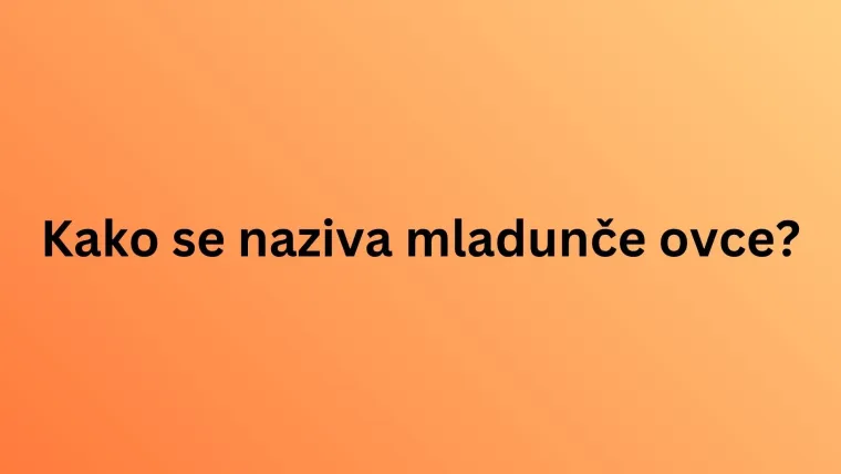 Nemojte razočarati na ovom kvizu o nazivima mladunaca životinja jer su pitanja stvarno laka