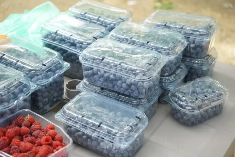 Čakovečki sajam otkrio cijene koje su neke iznenadile: Biste li vi dali 10 eura za ovo?