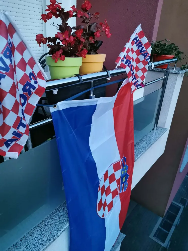 Ludi ste! U kockice ste obukli pse, automobile i kuće: Ovo su najbolje fotografije