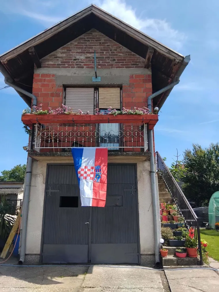 Ludi ste! U kockice ste obukli pse, automobile i kuće: Ovo su najbolje fotografije