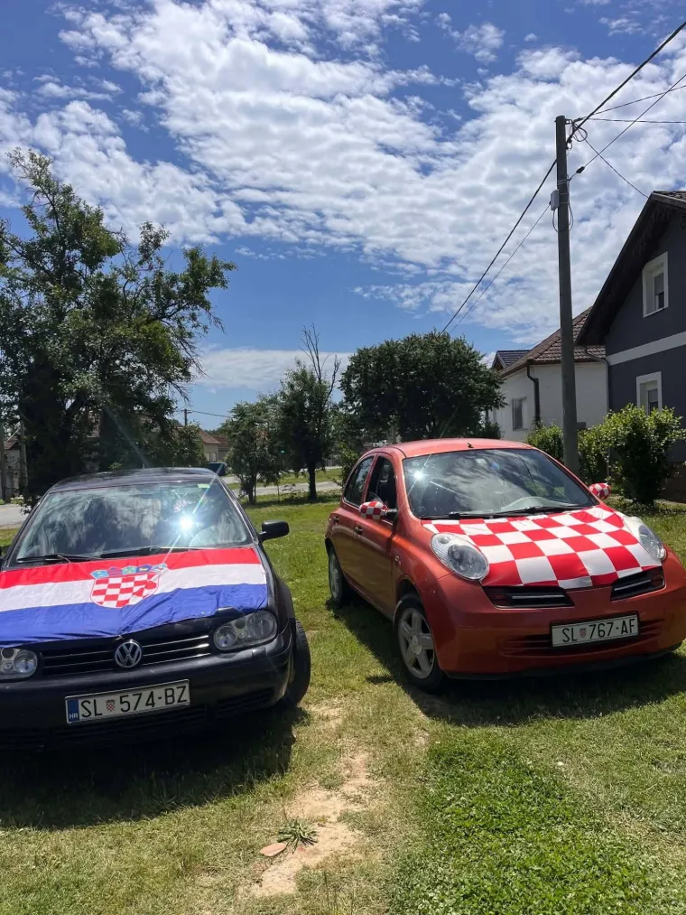 Ludi ste! U kockice ste obukli pse, automobile i kuće: Ovo su najbolje fotografije