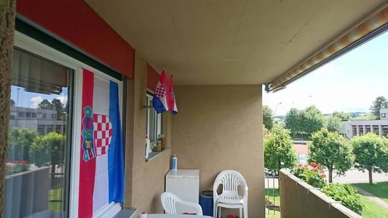 Ludi ste! U kockice ste obukli pse, automobile i kuće: Ovo su najbolje fotografije