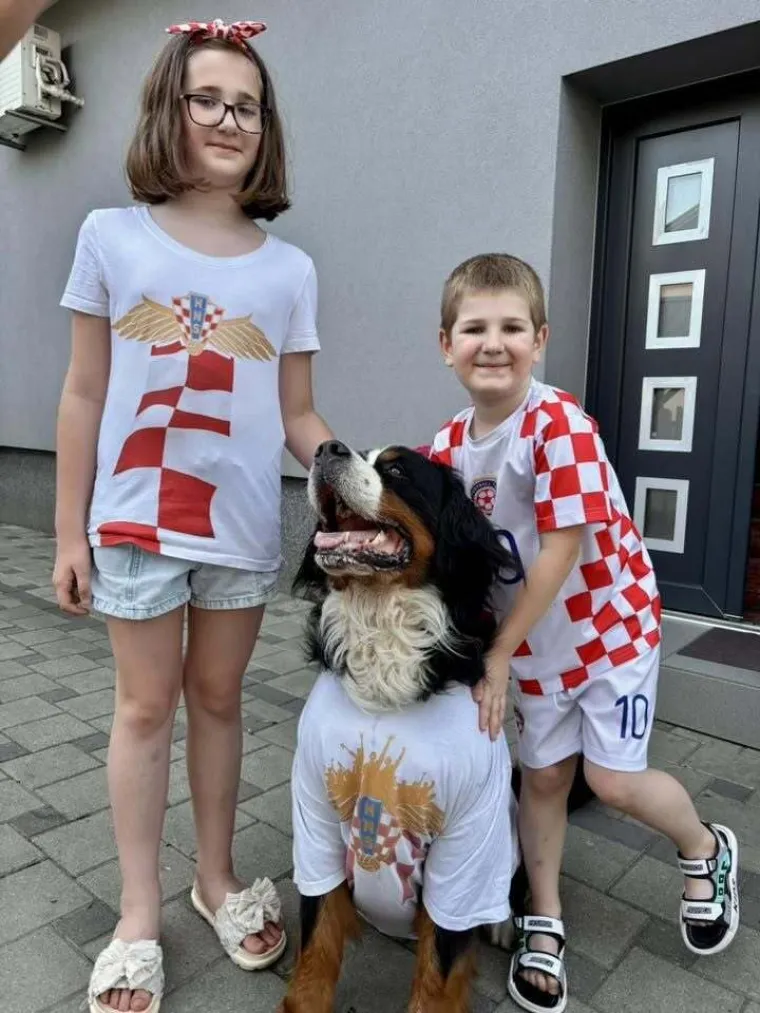 Ludi ste! U kockice ste obukli pse, automobile i kuće: Ovo su najbolje fotografije