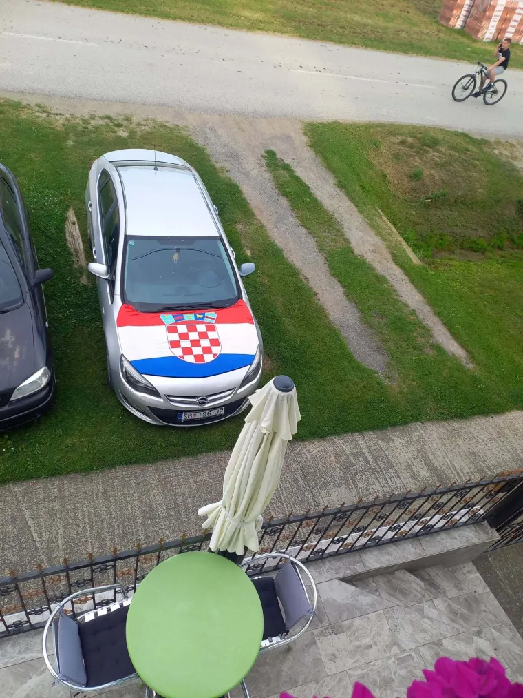 Ludi ste! U kockice ste obukli pse, automobile i kuće: Ovo su najbolje fotografije