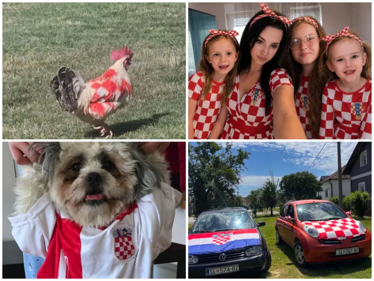 Ludi ste! U kockice ste obukli pse, automobile i kuće: Ovo su najbolje fotografije