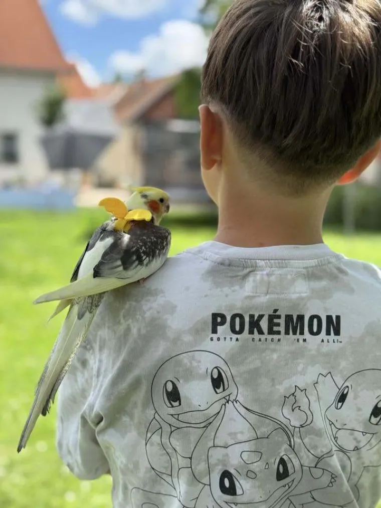 One trebaju &scaron;to vi&scaron;e vremena izvan kaveza: Osvojile su nas fotografije va&scaron;ih nimfi