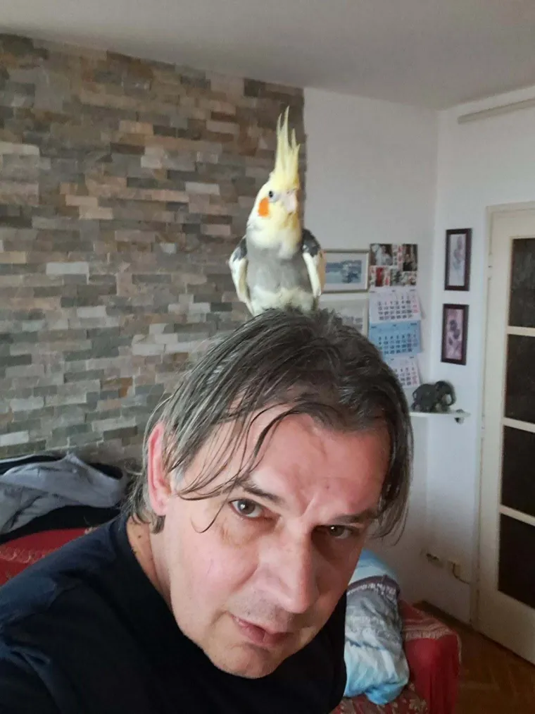 One trebaju &scaron;to vi&scaron;e vremena izvan kaveza: Osvojile su nas fotografije va&scaron;ih nimfi
