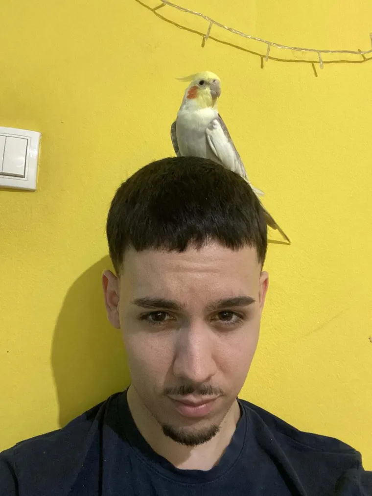 One trebaju &scaron;to vi&scaron;e vremena izvan kaveza: Osvojile su nas fotografije va&scaron;ih nimfi