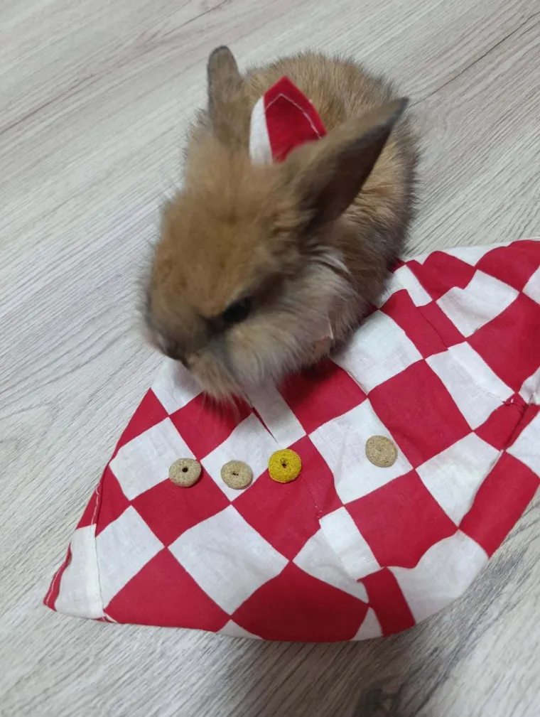 Oni su najslađi navijači: Poku&scaron;ajte pogledati galeriju i ne nasmije&scaron;iti se
