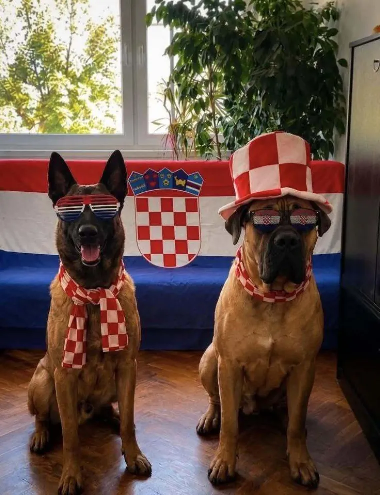 Oni su najslađi navijači: Poku&scaron;ajte pogledati galeriju i ne nasmije&scaron;iti se