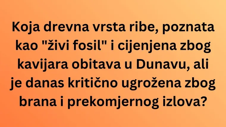 Svaki ljubitelj geografije mora točno odgovoriti na pitanja o Dunavu: Pazi jer nisu laka