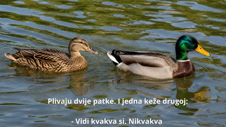 Ovo su najurnebesniji vicevi svih vremena: Nema &scaron;anse da na ovo ne zaplačete od smijeha
