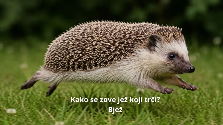 Ovo su najurnebesniji vicevi svih vremena: Nema &scaron;anse da na ovo ne zaplačete od smijeha