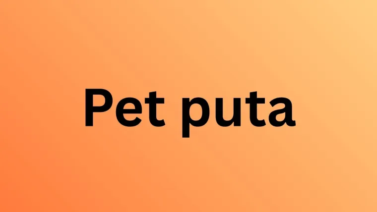 Poku&scaron;aj rije&scaron;iti pitanja o srpskim pjevačima i bendovima na kvizu kojeg prođu samo pravi fanovi