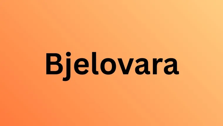 Prepoznaje&scaron; li sve gradove po njihovim grbovima? Dokaži se kao veliki Hrvat i rasturi na kvizu