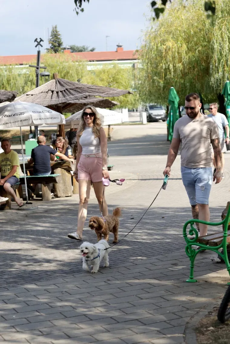 Svi su gledali u noge nasmijane plavu&scaron;e: Kad vidite fotografiju, bit će vam jasno i za&scaron;to