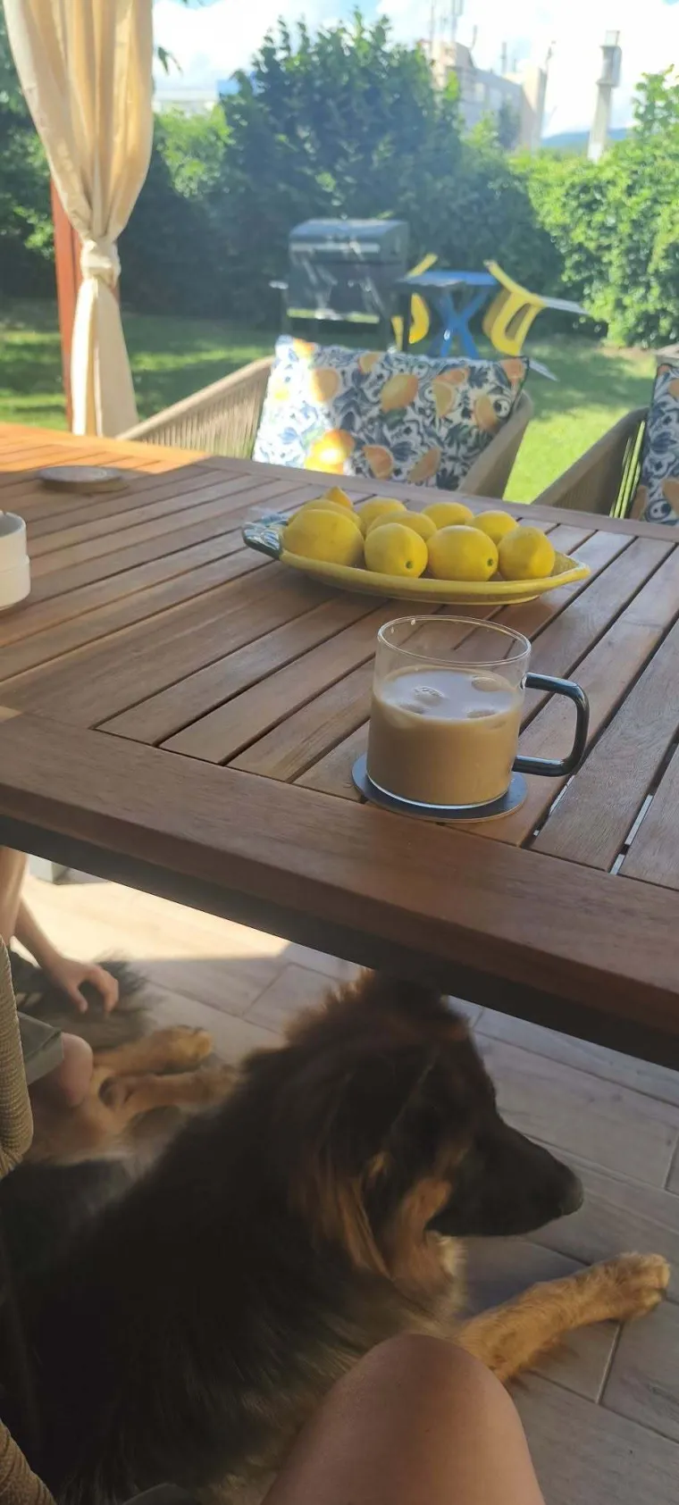 Opasno se zahuktalo: Ovo su fotografije čitatelja koje su nas očarale za 'Ljeto u hladu'