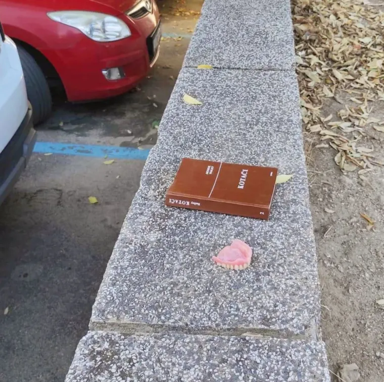 Ovo su najurnebesniji prizori iz Dalmacije: Takve ludosti samo njima mogu pasti na pamet
