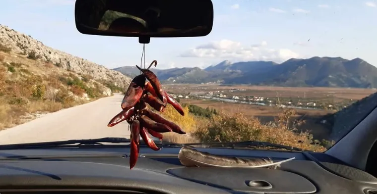 Ovo su najurnebesniji prizori iz Dalmacije: Takve ludosti samo njima mogu pasti na pamet