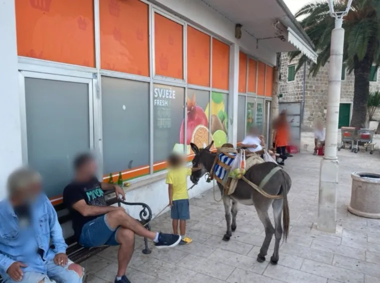 Ovo su najurnebesniji prizori iz Dalmacije: Takve ludosti samo njima mogu pasti na pamet