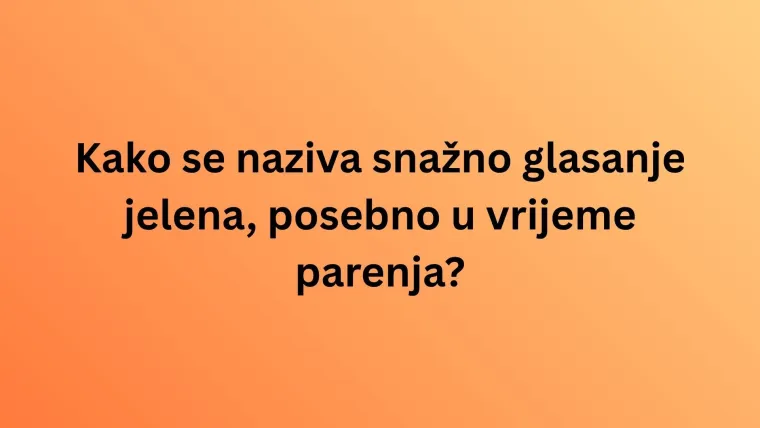 Kako se naziva glasanje ovih životinja? Iako izgleda lako, rijetki imaju sve točno na kvizu