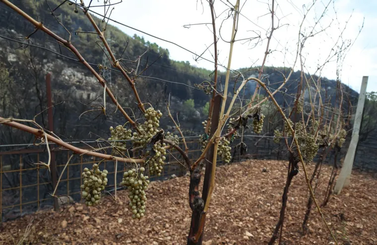 Fotografije otkrivaju razmjere katastrofe: Crnilo, pepeo i spaljena priroda dokle pogled seže