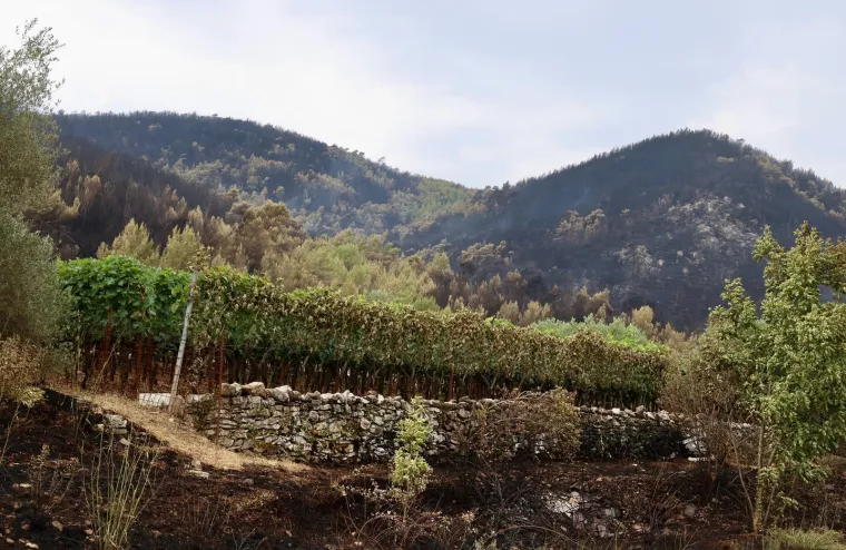 Fotografije otkrivaju razmjere katastrofe: Crnilo, pepeo i spaljena priroda dokle pogled seže