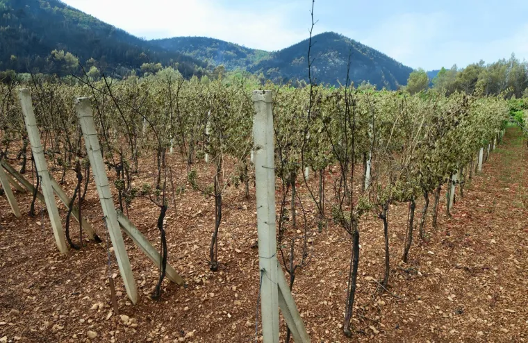 Fotografije otkrivaju razmjere katastrofe: Crnilo, pepeo i spaljena priroda dokle pogled seže