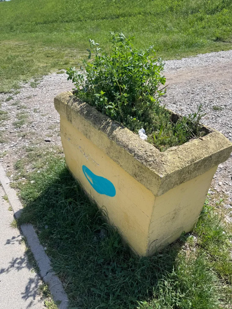 Opasno, zapu&scaron;teno i prljavo: Ovako izgleda mjesto koje bi Zagrepčani trebali voljeti