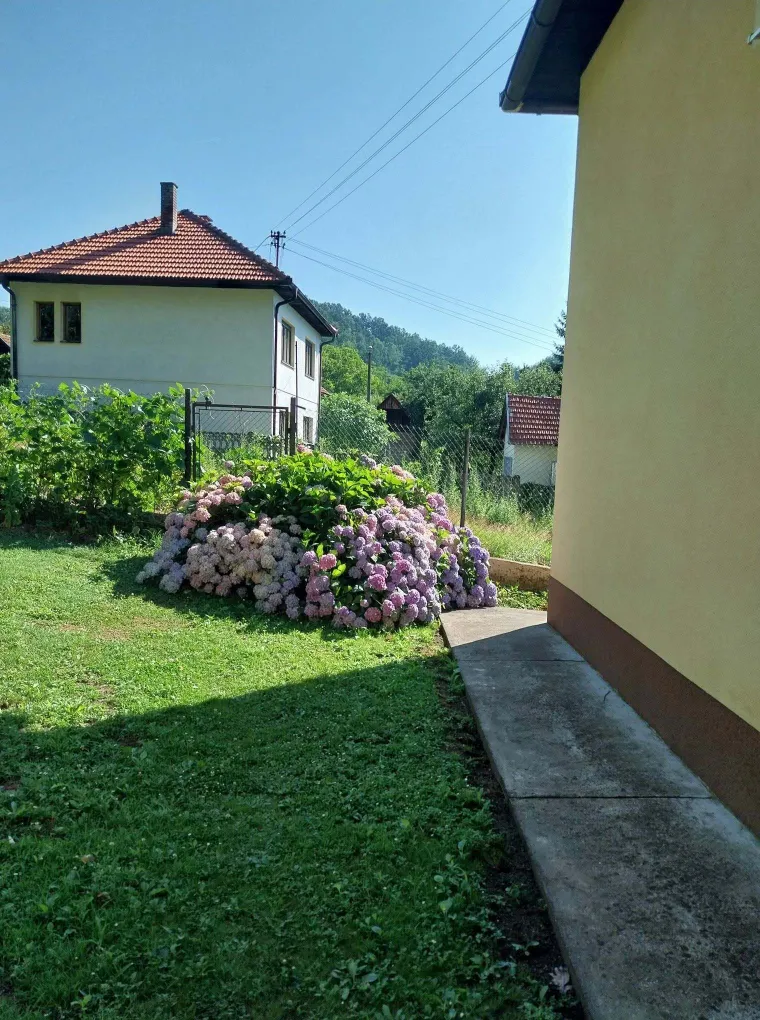 Odu&scaron;evljavaju rasko&scaron;nim cvatom: Ovo su fotografije va&scaron;ih ljepotica