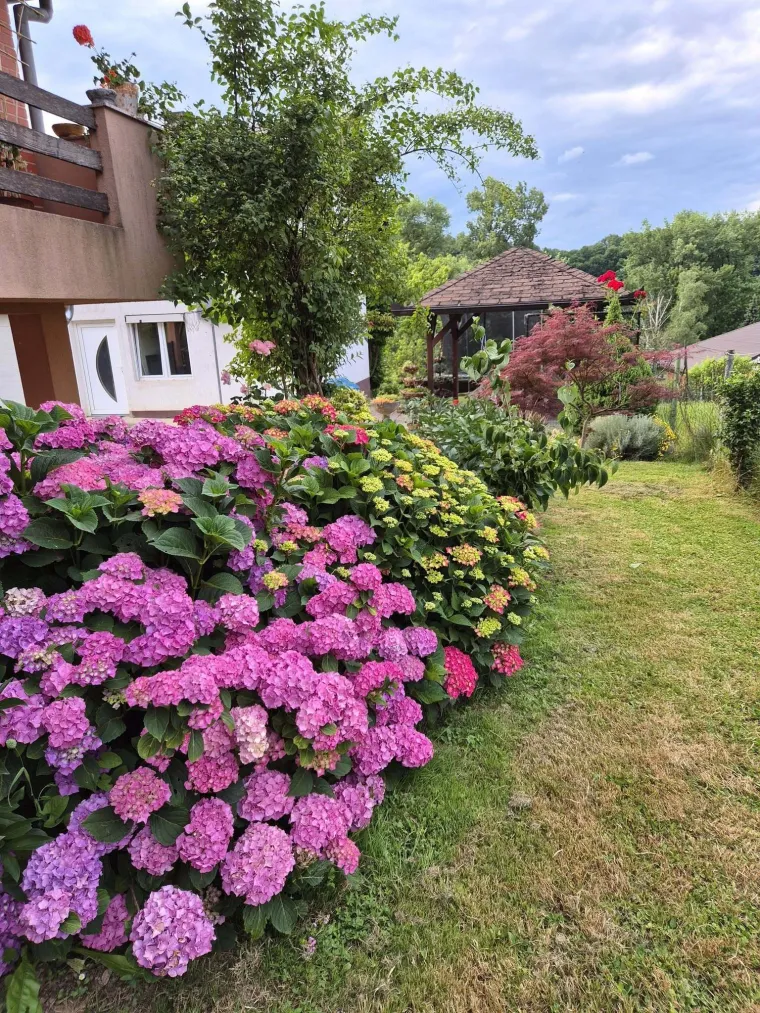 Odu&scaron;evljavaju rasko&scaron;nim cvatom: Ovo su fotografije va&scaron;ih ljepotica