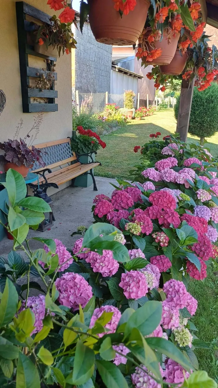 Odu&scaron;evljavaju rasko&scaron;nim cvatom: Ovo su fotografije va&scaron;ih ljepotica