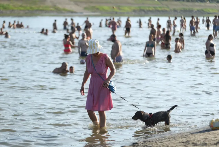 Drava nikad nije bila toplija: Lijepe legice ponovno su bile na osječkoj plaži