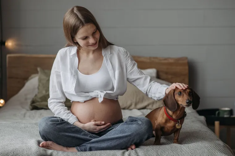 Znate li &scaron;to pasmina va&scaron;eg psa doista otkriva o va&scaron;em karakteru? Evo &scaron;to kažu stručnjaci