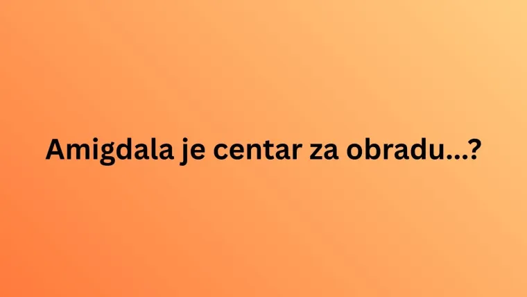 Obilježavamo Svjetski dan mozga: Doznaj u kvizu koliko zna&scaron; o organu ključnom za život