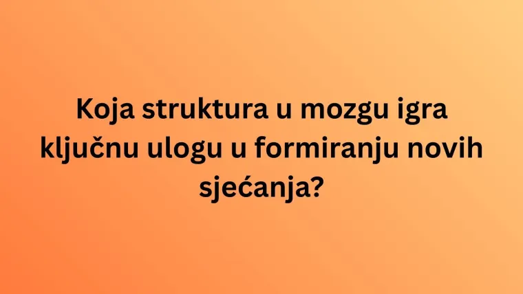 Obilježavamo Svjetski dan mozga: Doznaj u kvizu koliko zna&scaron; o organu ključnom za život