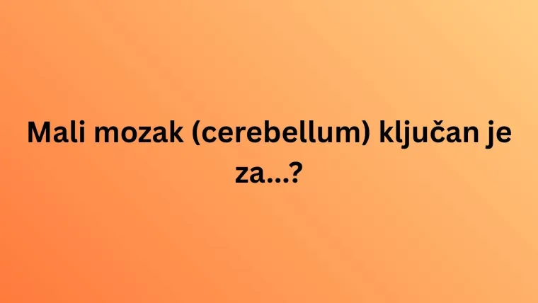 Obilježavamo Svjetski dan mozga: Doznaj u kvizu koliko zna&scaron; o organu ključnom za život