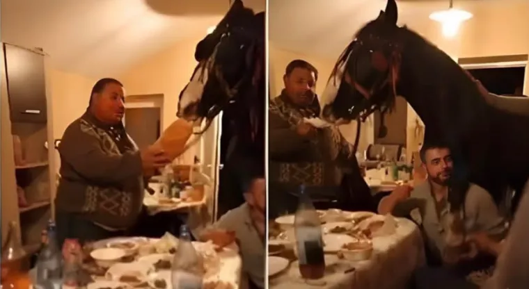 Kad si gladan, nisi svoj: Ovakva luda mjesta za ručak mogu smisliti samo Balkanci