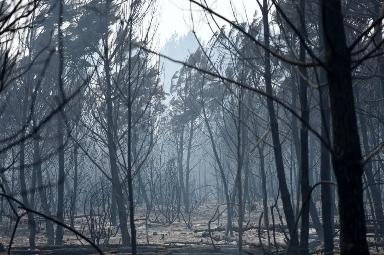 Francuska i &Scaron;panjolska u plamenu, evakuirano 160.000 ljudi: 'Ovo je najgori požar u povijesti'