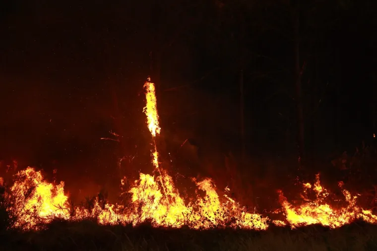 Požari bijesne, vatra opasno prijeti Bordeauxu: 'Ovo je borba Davida protiv Golijata'