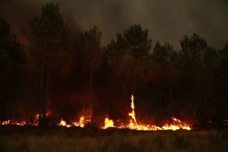 Požari bijesne, vatra opasno prijeti Bordeauxu: 'Ovo je borba Davida protiv Golijata'