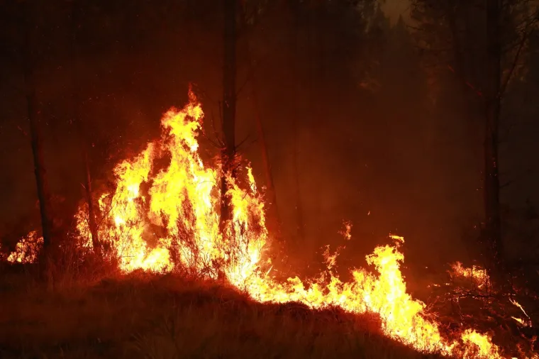 Požari bijesne, vatra opasno prijeti Bordeauxu: 'Ovo je borba Davida protiv Golijata'