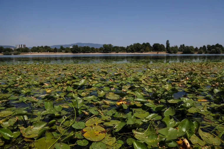 Na ovim mjestima na Jarunu ne bi se trebali kupati: Ukinut im je status službenih kupali&scaron;ta