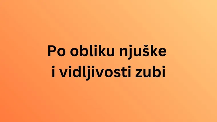 Koliko zna&scaron; o najpoznatijim životinjama svijeta? Poku&scaron;aj rasturiti na laganom kvizu