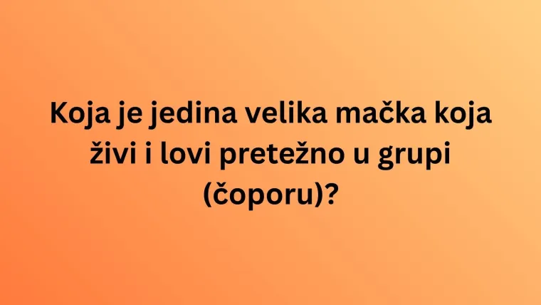 Koliko zna&scaron; o najpoznatijim životinjama svijeta? Poku&scaron;aj rasturiti na laganom kvizu