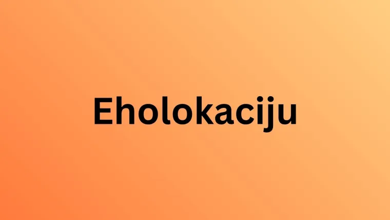 Koliko zna&scaron; o najpoznatijim životinjama svijeta? Poku&scaron;aj rasturiti na laganom kvizu